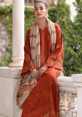 Winter - Noor by Saadia Asad - Pashmina Shawl 25 - NSP#10 - Rustique