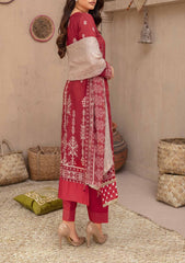Winter Collection - Laiba - D/P Viscose - V26 - LV#10
