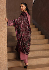 Winter - Rajbari - Winter Shawl - Exclusive 25 - D#02