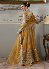 Formals - Akbar Aslam - Deewani 25 - ADF#1571 - Amoria