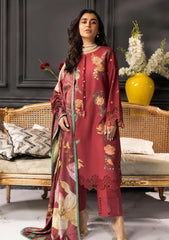 Winter Collection - Rang Rasiya - Carnation Khaddar Shawl - Amala - D#03