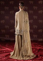 Formals - Meeral - Panache Luxury Chiffon 25 - D#05