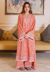 Winter - Zyna - Unstitched Winter 25 - Esma