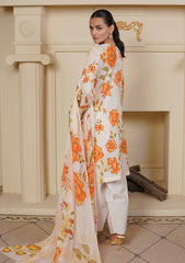 Lawn - Johra - Zunaira 26 - JH#1167