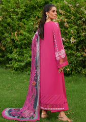 Winter - Asifa & Nabeel - Eden Cambric 25 - ECU#06 - Pink Reverie