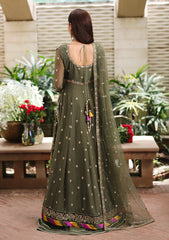 Formals - Roheenaz - Aangan - Chiffon 25 - D#104 - Mehwar