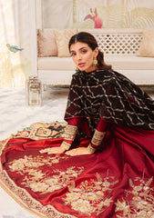 Formal Collection - Zarqash - Rubaai Wedding - Zane