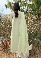 Lawn - Qalamkar - Qlinekari 25 - DC#14 - Meline