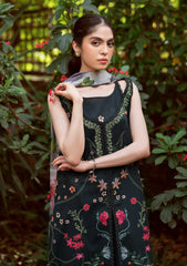 Lawn - Asifa & Nabeel - Yakin - Elysian - (YKL25-11)