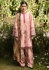 Lawn Collection - Hussain Rehar - SS 24 - D#494 - Pune