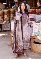 Lawn Collection - Asim Jofa - Basic Prints 24 - AJBB#12