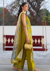 Lawn - Seraph - Lumineer 25 - Olivine