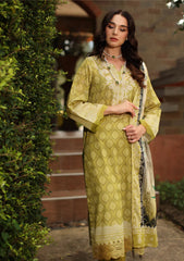 Lawn - Nureh - Signature Prints - Summer 26 - SPT#201