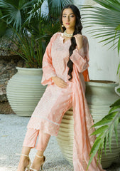 Lawn - Banafsheh - Chikankari Luxury 25 - BN-308