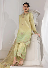 Formals - Rang Rasiya - Lumiere The Raw Silk Romance 26 - D#03 - Lucia