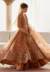 Formals - Zaha - Gossamer - Unstitched Wedding - Festive 25 - ZC#08 - GUL-E-MAHNOOR