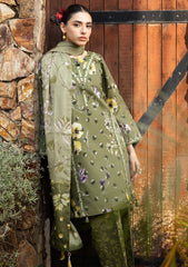 Lawn - Alizeh - Sheen Prints 25 - AF-PL-6038 - Willow