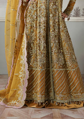 Formals - Akbar Aslam - Deewani 25 - ADF#1571 - Amoria