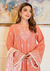 Winter - Zyna - Unstitched Winter 25 - Esma