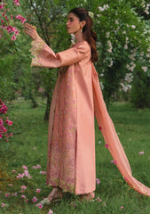 Lawn - Rang Rasiya - Luxury Eid 26 - RLE#11 - RANIA