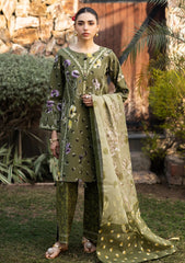 Lawn - Alizeh - Sheen Prints 25 - AF-PL-6038 - Willow