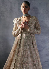 Formal Collection - Afrozeh - The Brides Edit 24 - Emilia