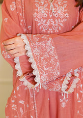 Winter - Zyna - Unstitched Winter 25 - Esma