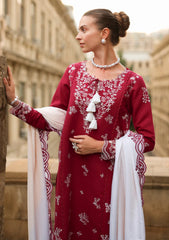 Winter - Rang Rasiya - Carnation 25 - Luxury Shawl Edit - CWD#05 - Rose