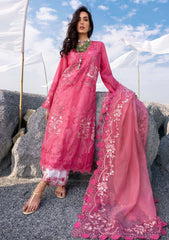 Lawn - Saira Shakira - Unstitched Festive 25 - SAMARA-B