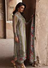 Formals - Charizma - Vasal 25 - Vol 06 - Luxury Chiffon - VSL#46