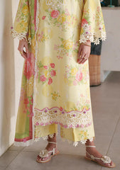 Lawn - AJR Couture - Printed Chikankari 26 - Feya