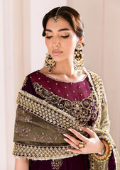 Winter - Alizeh - Makhmal 25 - Luxury Velvet - AF-VLT#2228 - Zarlish