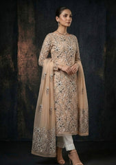 Formals - Riwaj - Fancy 26 - Chikankari & Mukesh - 2 Pcs - D#01 - L Peach