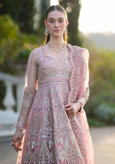 Formals - Inayat - Festive 25 - ELVA