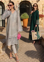 Lawn - Noor by Saadia Asad - Luxe Chikankari - NL25#01 B