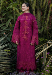 Lawn - Rang Rasiya - Luxury Eid 26 - RLE#05 - AYRA