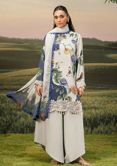 Winter - M.Basics - Unstitched Casual - Pre/Fall 25 - MBPF#07 B