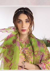 Lawn Collection - Rang Rasiya - Breeze - D#11 Kelly
