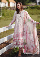 Lawn - Mushq - Solace 26 - Ombre Chikankari - MUNSS#209 - Dew Drift