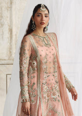 Formals - Akbar Aslam - Rang Mehal - Festive 25 - D#1608 - Naazi