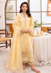 Lawn - Humdum - Nayab 26 - D#02