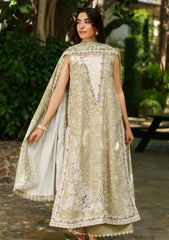 Winter - Asifa & Nabeel - Meraki - Unstitched 25 - Frozen Dew