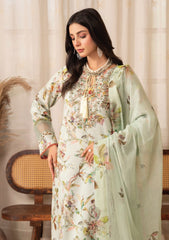 Lawn - Humdum - Senora - HSL25#09