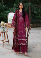 Winter - Parishay - Panache - Palachi Shawl 25 - PNE#09