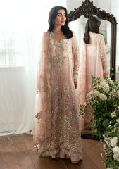 Formals - Mushq - Shaam Shandar - Chiffon 25 - SHEHNAI