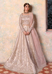 Formal Collection - Qalamkar - Sahiba - Insha