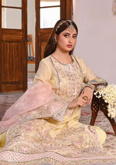 Formal Collection - Qalamkar - Sahiba - Manha