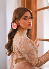 Formal Collection - Qalamkar - Sahiba - Ranya