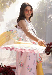 Lawn - Rubaaiyat - Muse Era - Luxury Lawn 25 - RM#05