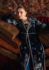 Winter Collection - Qalamkar - Velvet Edit - QV24#07 - LIYANA